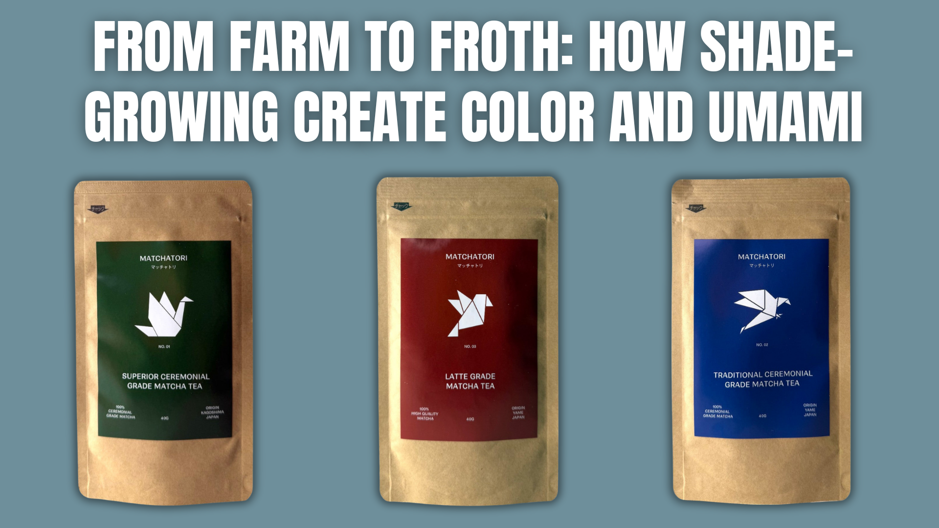 From Farm to Froth: How Shade-Growing & Milling Create Color and Umami