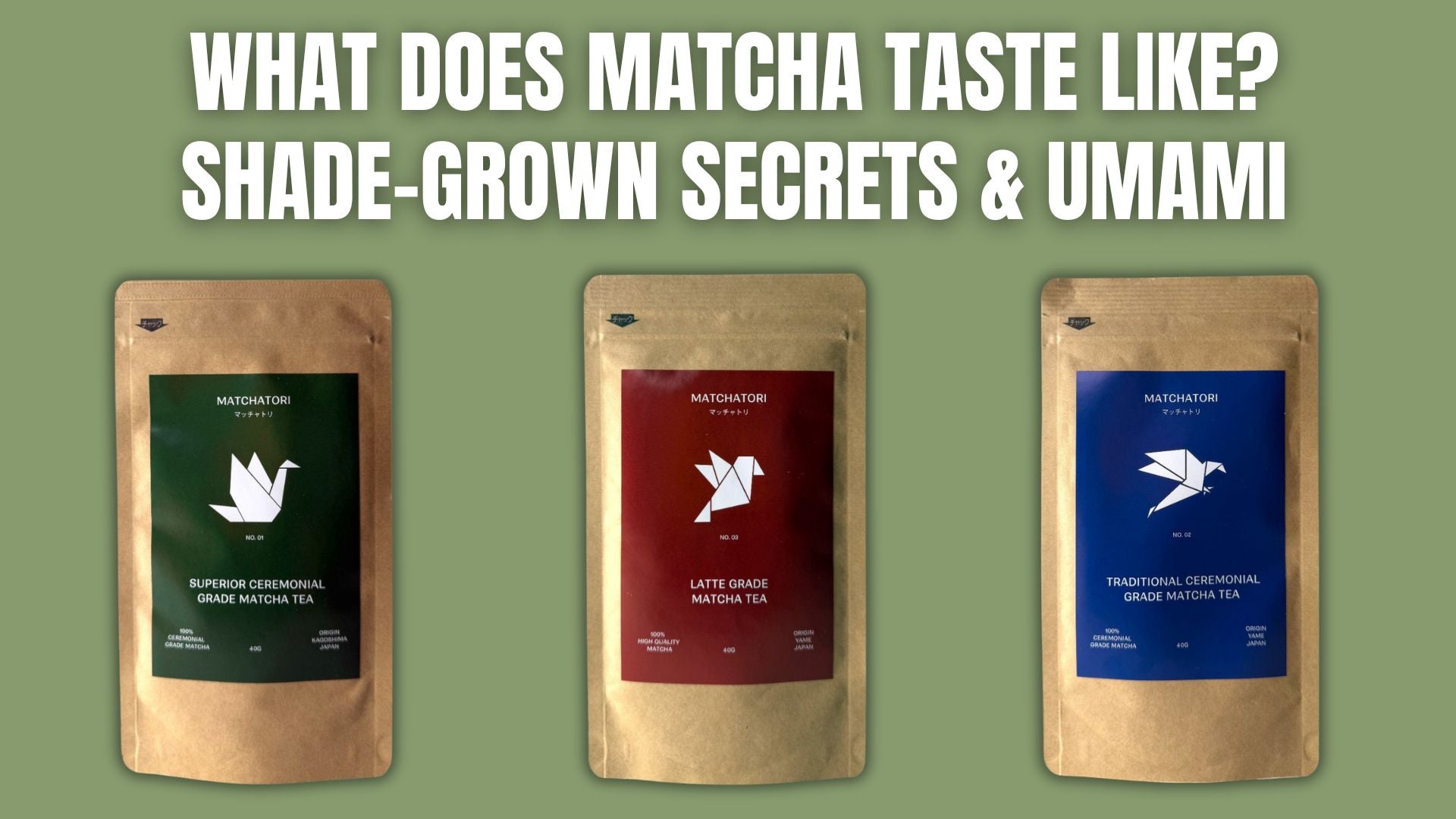 What Does Matcha Taste Like? Flavor Map by Grade & Water Temp